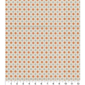 Canyon Front & Center by P/K Lifestyles for Upholstery Fabric 