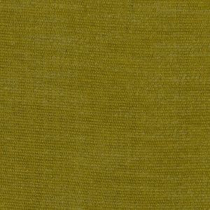EAGAN 244 ACID GREEN BY COVINGTON FABRICS