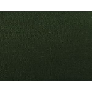 Silk Dupioni Plain.  - Green 54 Inch Wide