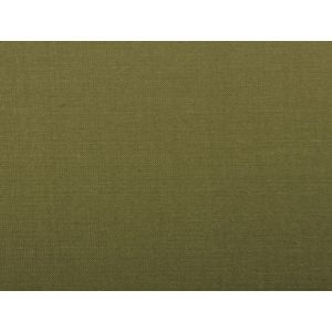 Silk Dupioni Plain.  - P Moss 54 Inch Wide