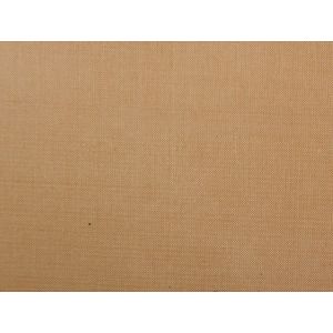 Silk Dupioni Plain.  - Nectar 54 Inch Wide