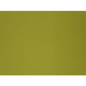 Outdoor Fabric 148 Lemongrass