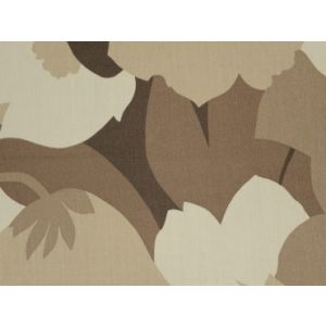 P/Kaufmann Outdoor  Esprit Kiwi 007