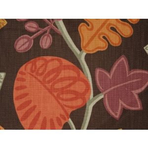 P/Kaufmann Outdoor Jack's Beanstalk Java