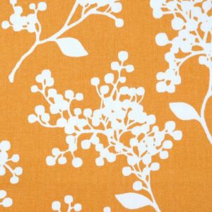 Duralee Leaf/Foiliage, Melon 20866-3 Multi Upholstery Drapery fabric