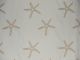 Indoor/Outdoor Star Embroidery - Natural