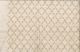 Silk Dupioni Embroidery Petite Trellis Artee  - Beige
